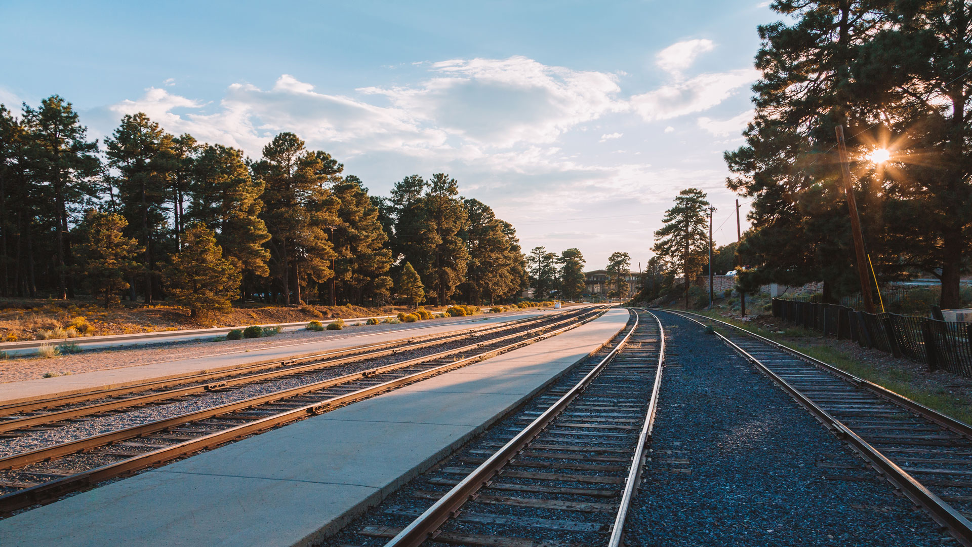 درباره ما شودر