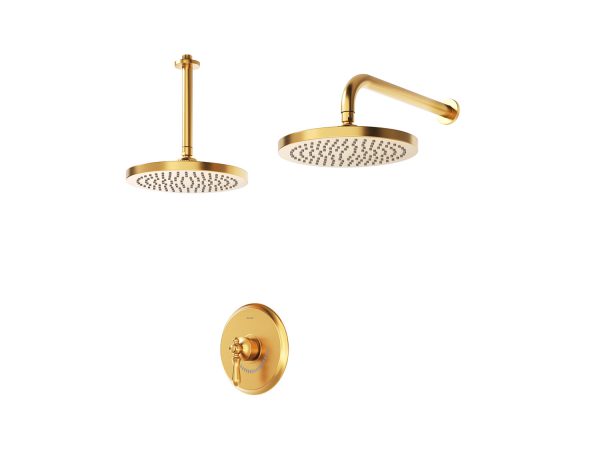 زیگموند ABS دوش توکار طلا مات تیپ 1 زیگموند ABS دوش توکار طلا مات تیپ 1