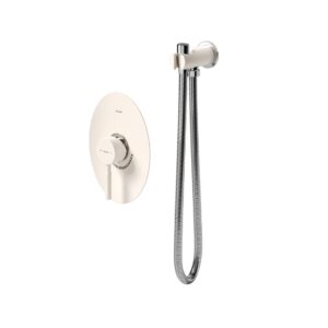 شیر توکار مدل روگن | شیری کروم