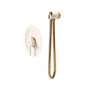 شیر توکار مدل روگن | شیری طلا