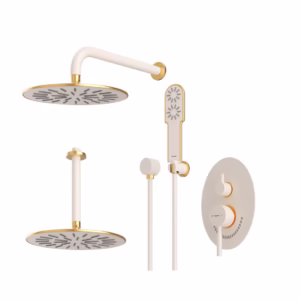 شیر توکار مدل روگن BRASS | شیری طلا | تیپ چهار